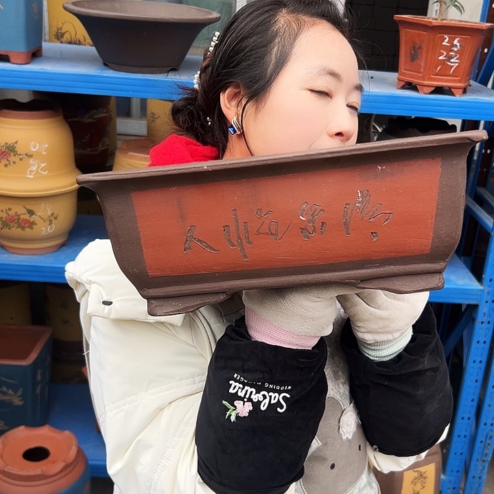 31红马槽花盆花盆