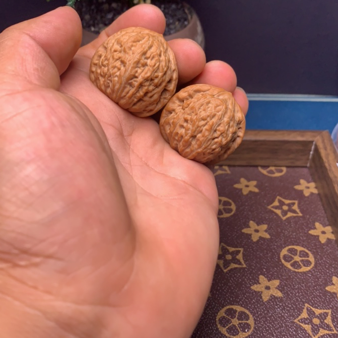 铁锤文玩核桃小手捻一对适合把玩收藏