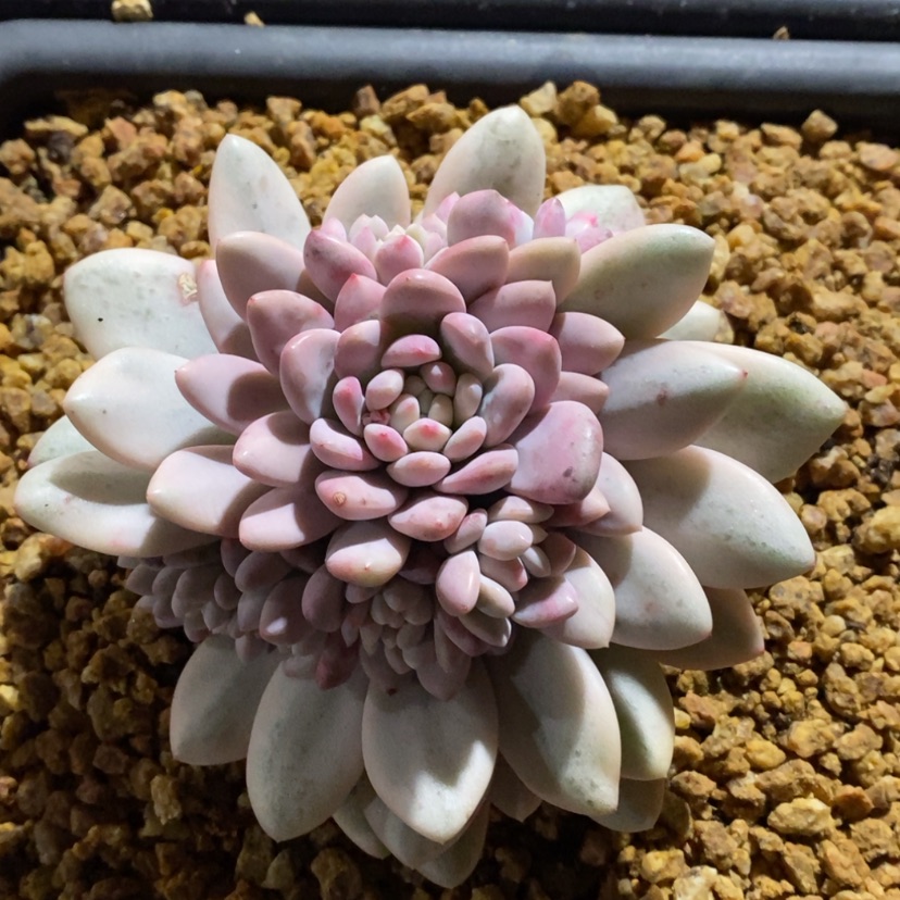 【闪购商品】?****1111111111