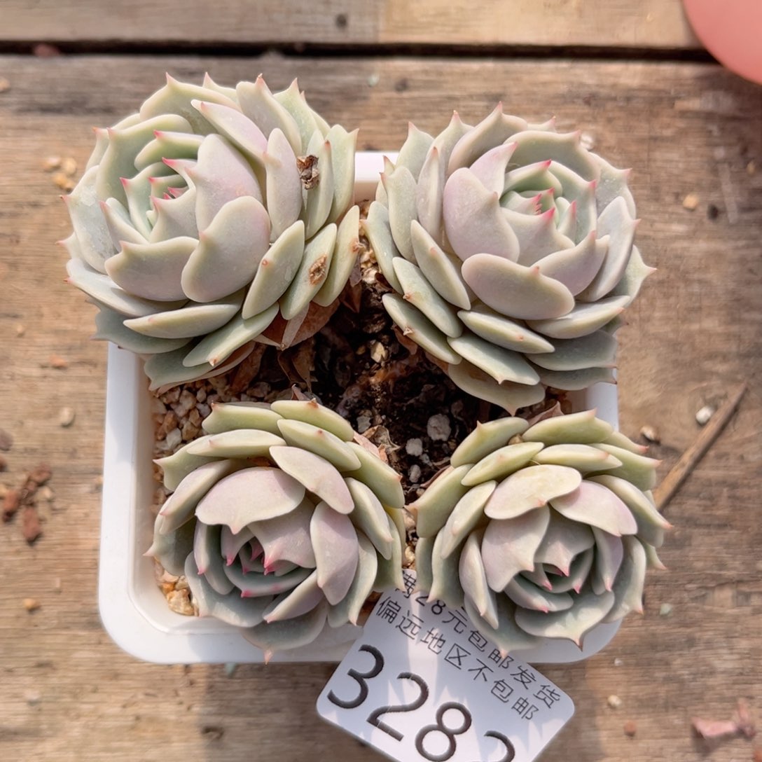 大3282:（f b vb n m h b