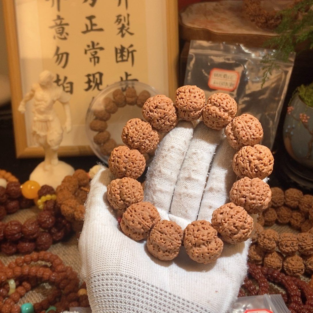 金刚菩提手串崔*生245原籽