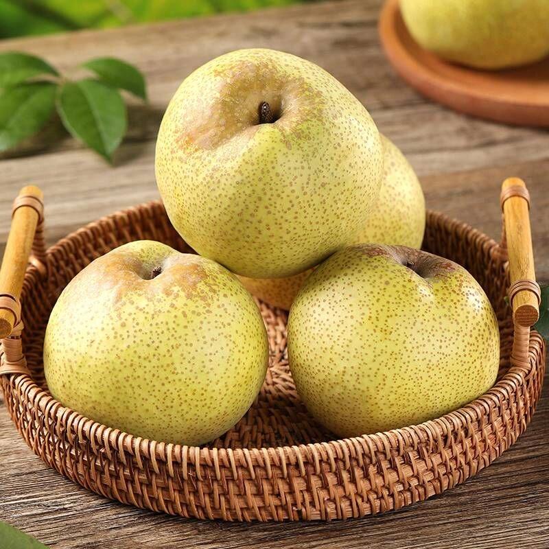 【香甜多汁】安徽砀山酥梨应季新鲜水果现摘先发整箱包邮脆甜多汁