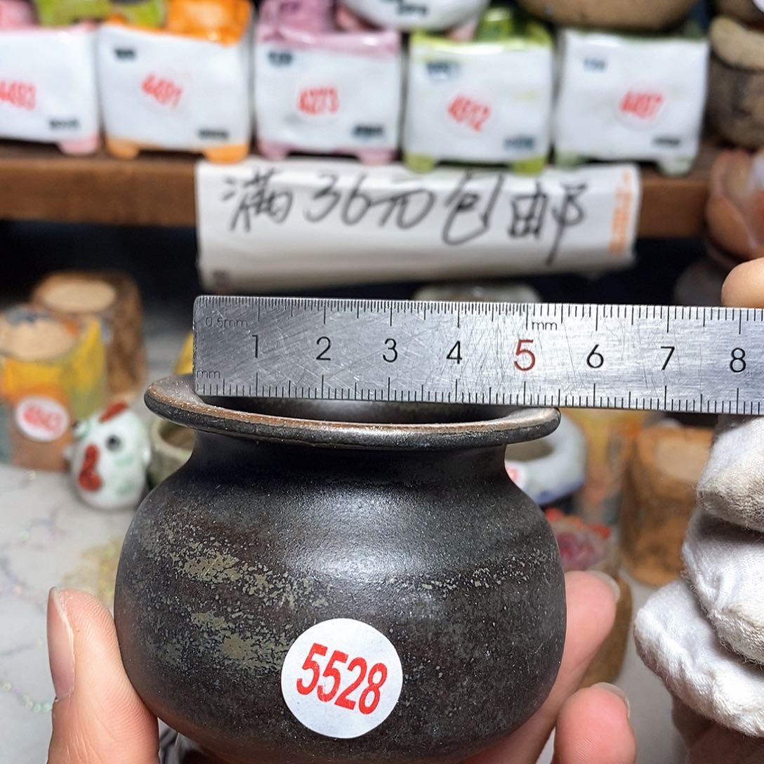 红陶拍5送一个小