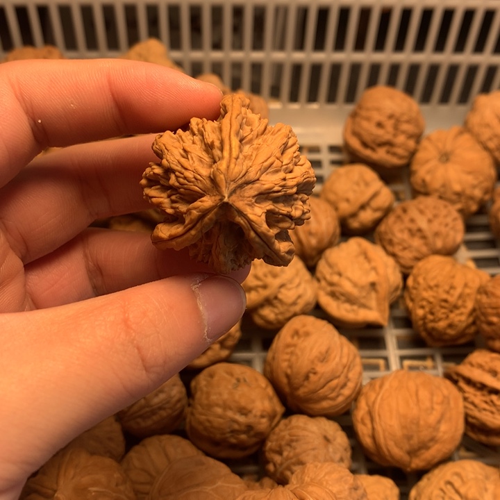 飛***把件文玩核桃虎头有黄