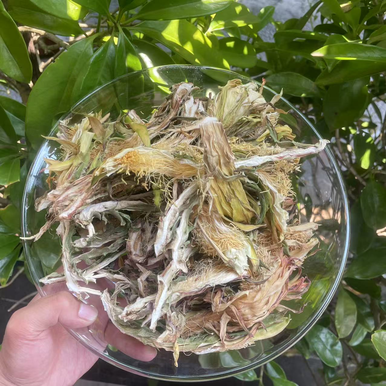 1【雪-莲-花】净含量100g-200g【阿虎现收】粮