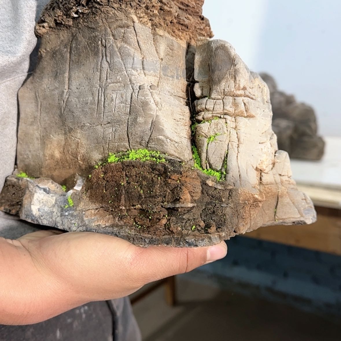 【闪购商品】香榧木A***e出自一人两位小仙女下凡辛苦了