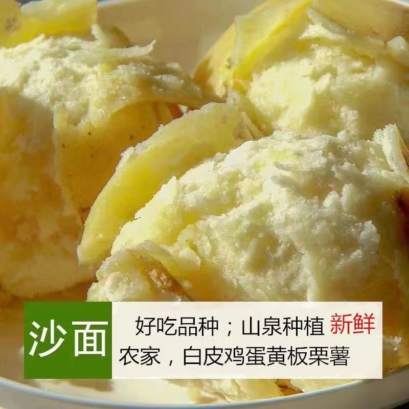 广东潮汕新鲜粉糯现挖白皮鸡蛋黄地瓜番薯粉板栗番薯地瓜黄心农家