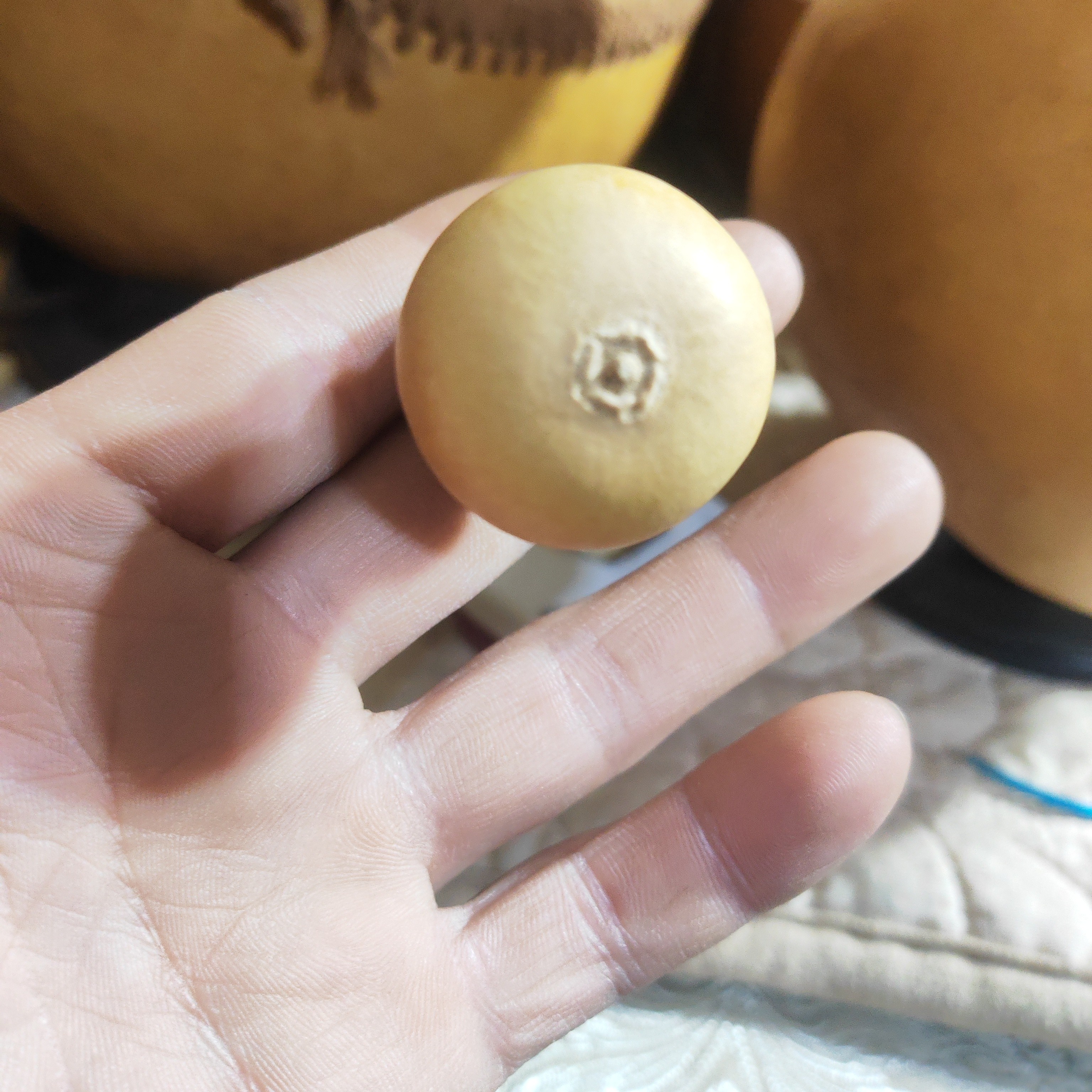 天然葫芦草里金套环葫芦文玩收藏手把件