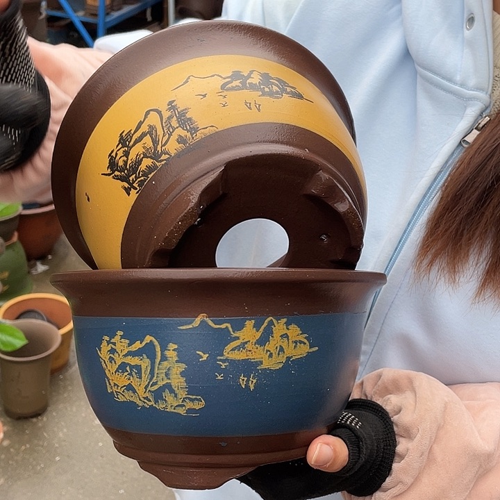 17黄三角金钟17蓝三角金钟花盆紫砂花盆