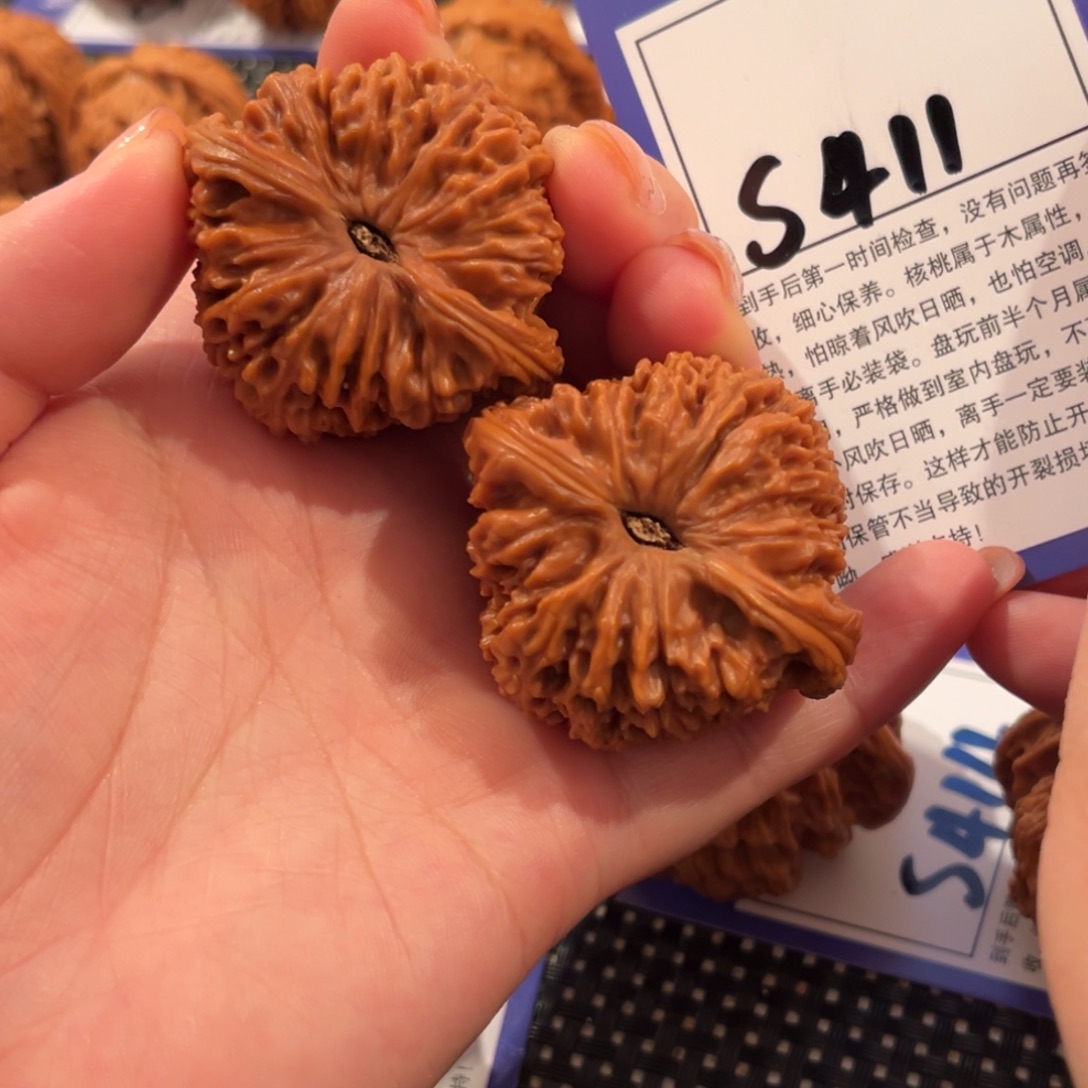 核桃S411号南疆石44尺
