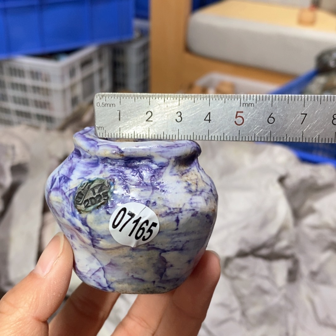 花盆拍3送一个小礼物