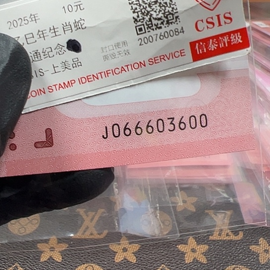 J66603600单张简易封装蛇