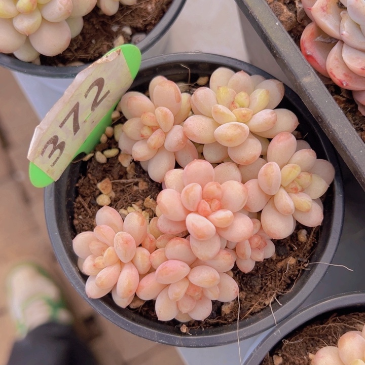 健健康康平平安安