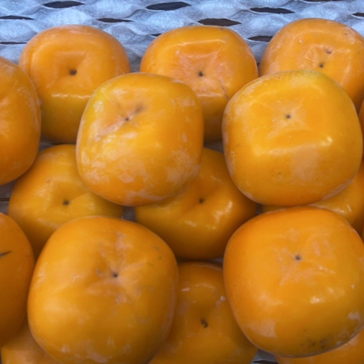 脆皮柿子一斤约2个