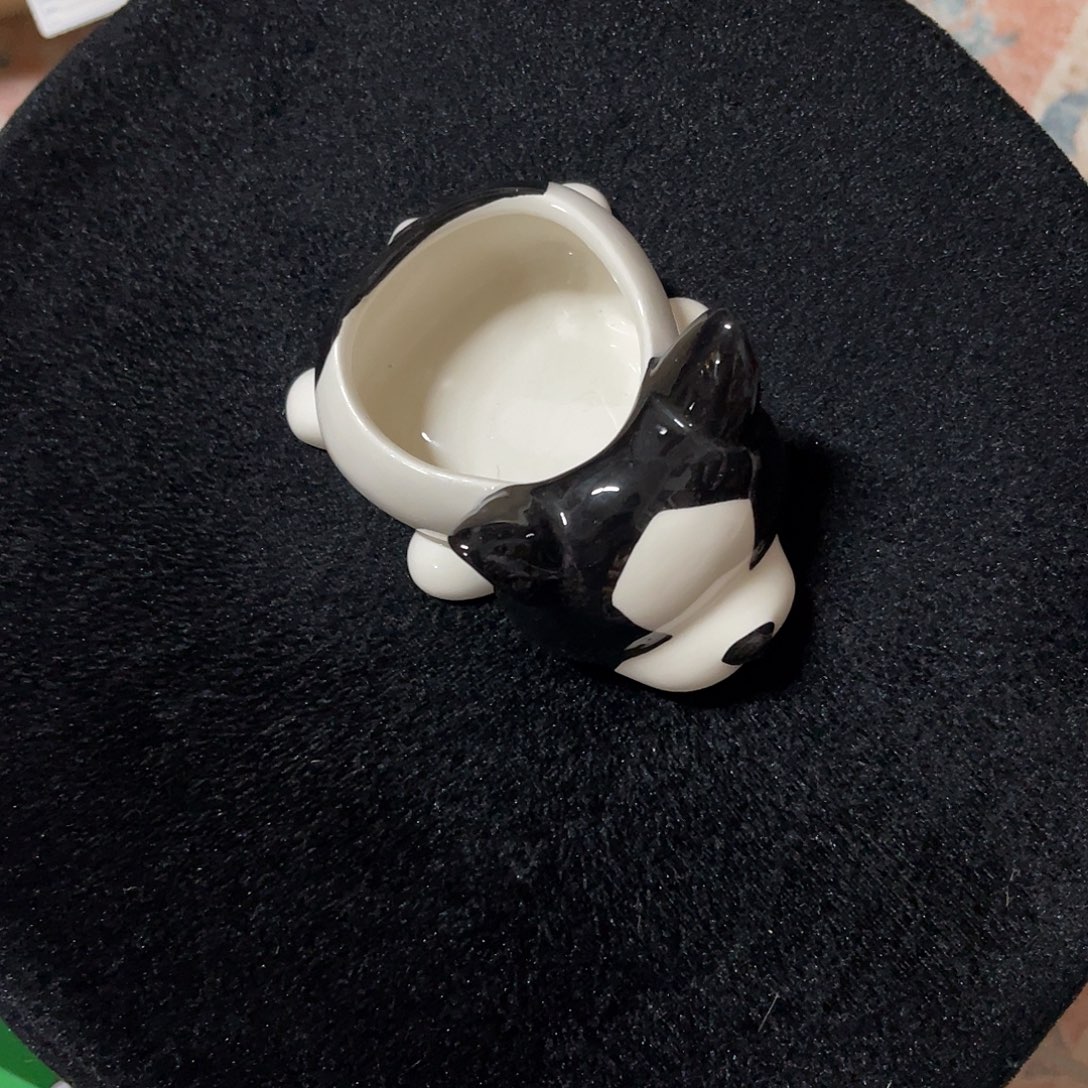 我***色安提克斯拍了说已拍