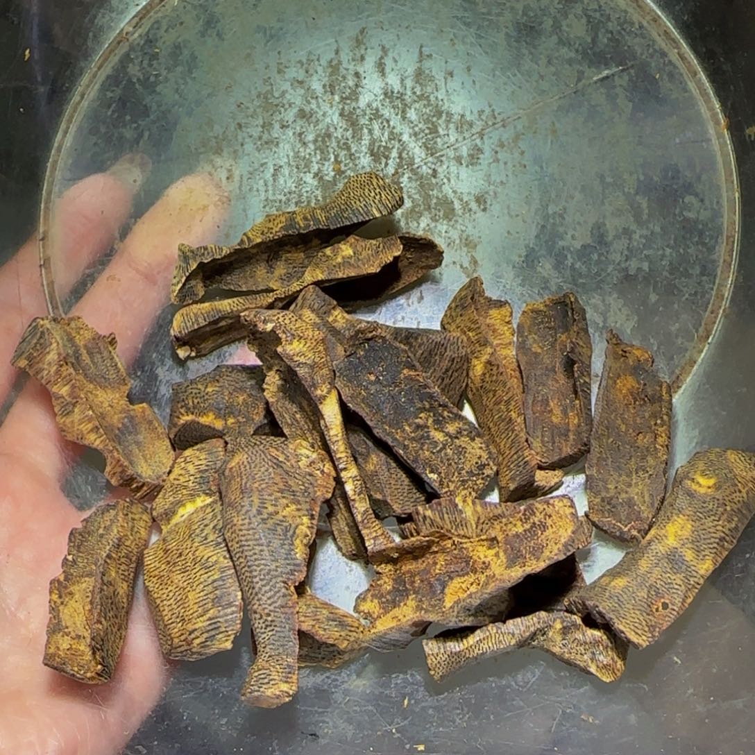 沉香沉香碎屑奇楠天然沉水壳子肉30克