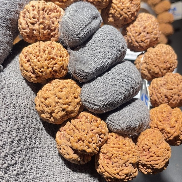 小***财手串金刚菩提五瓣