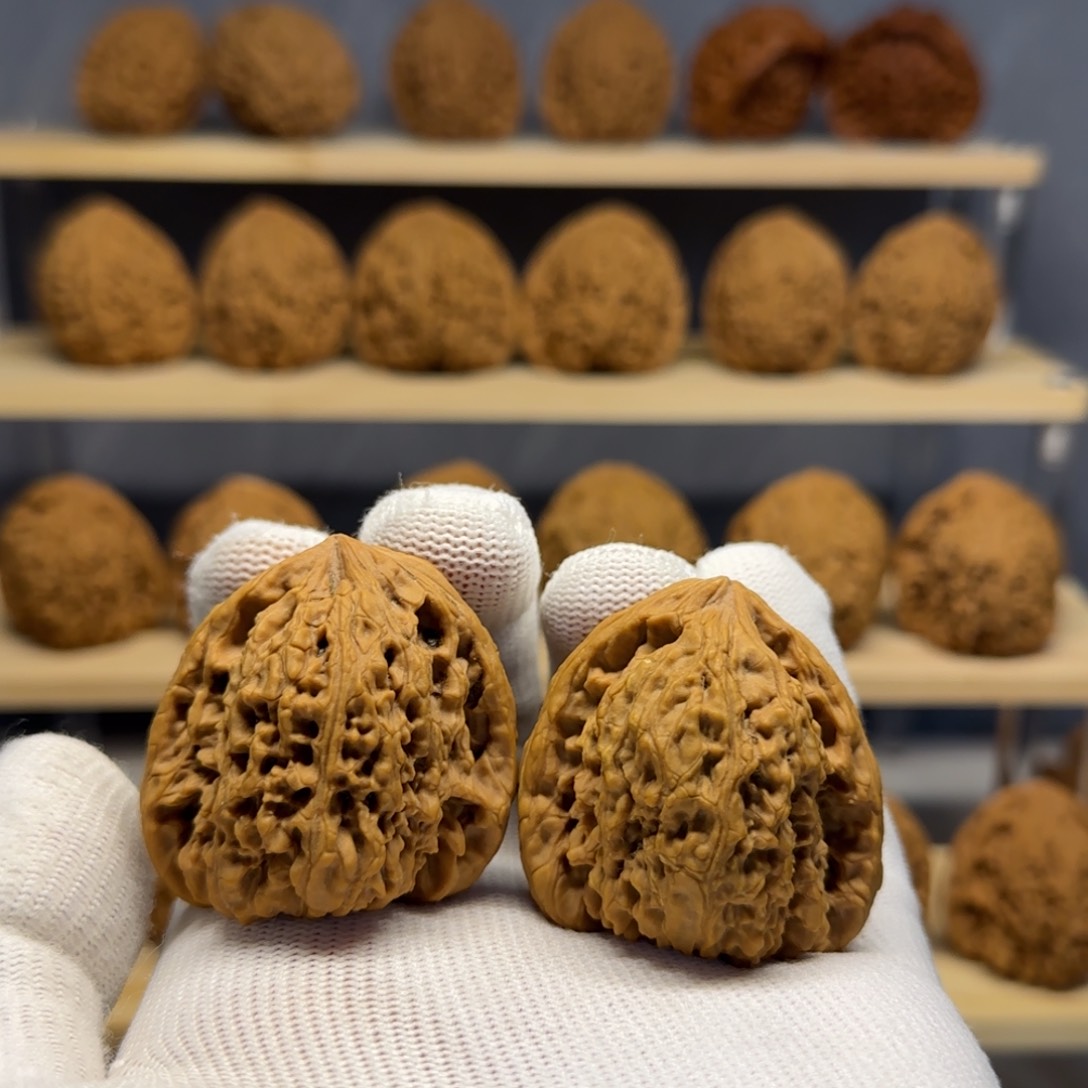 【闪购商品】星*40凹底