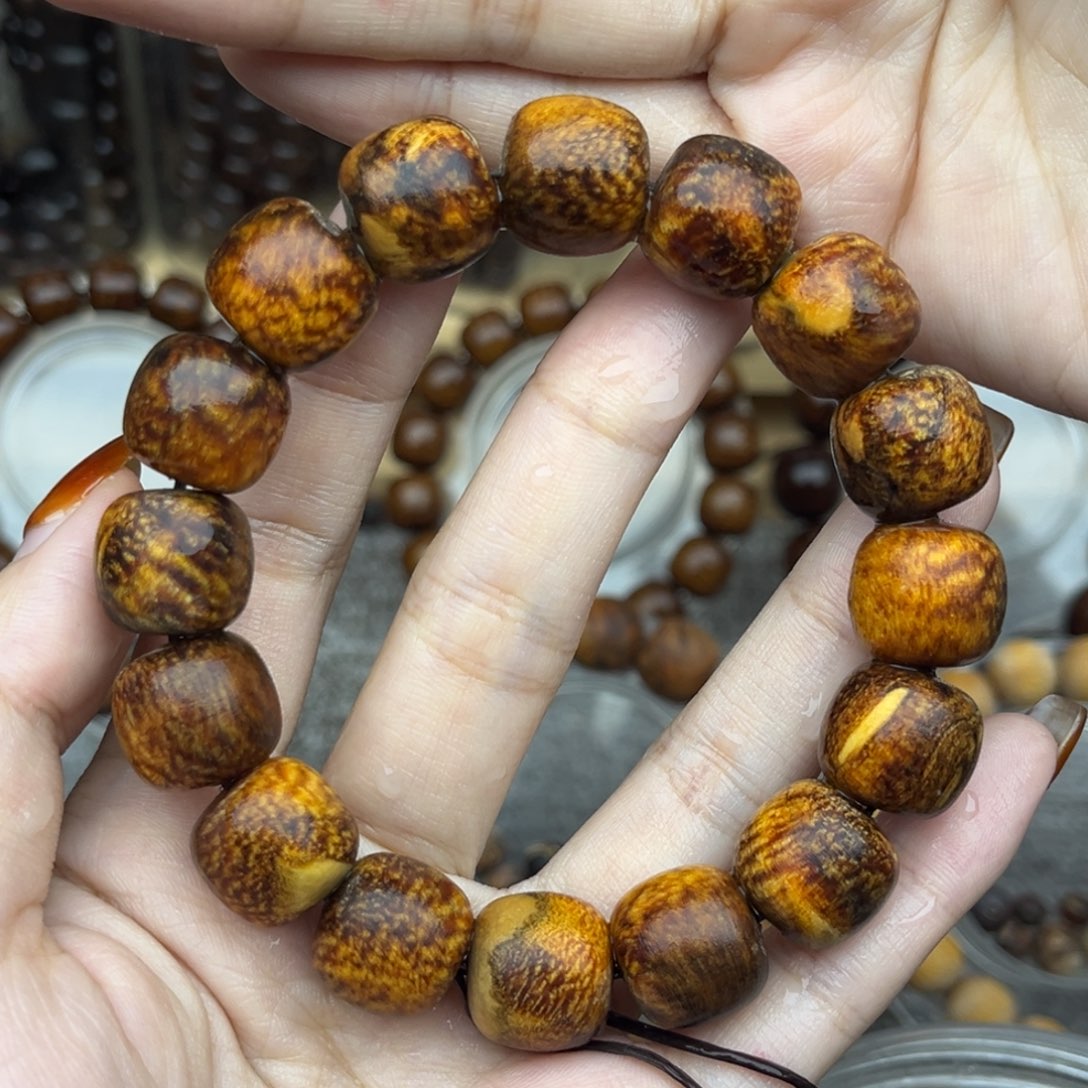 贡木印尼13/14龙鳞妖花