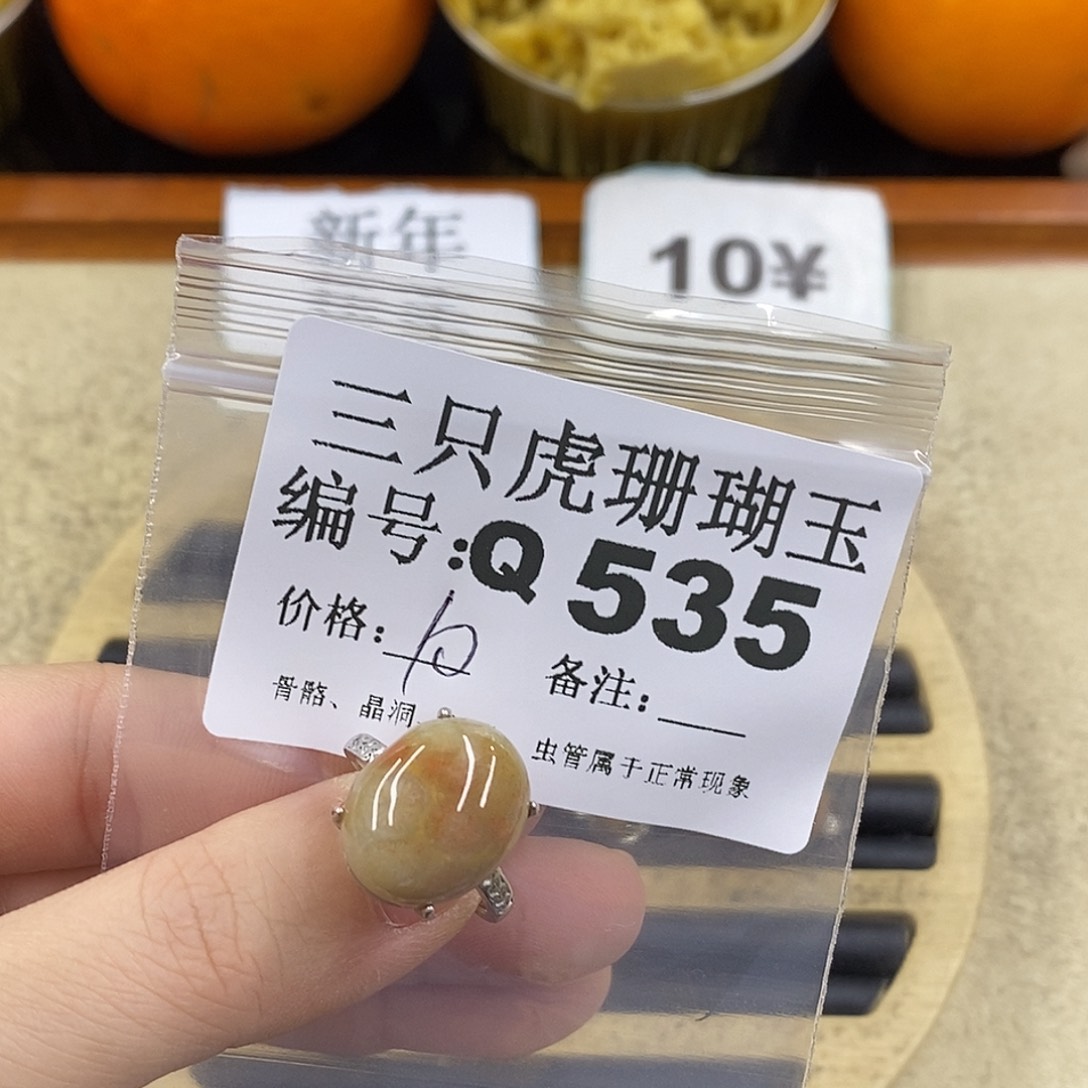 硅化珊瑚（珊瑚玉）1未镶嵌B****f