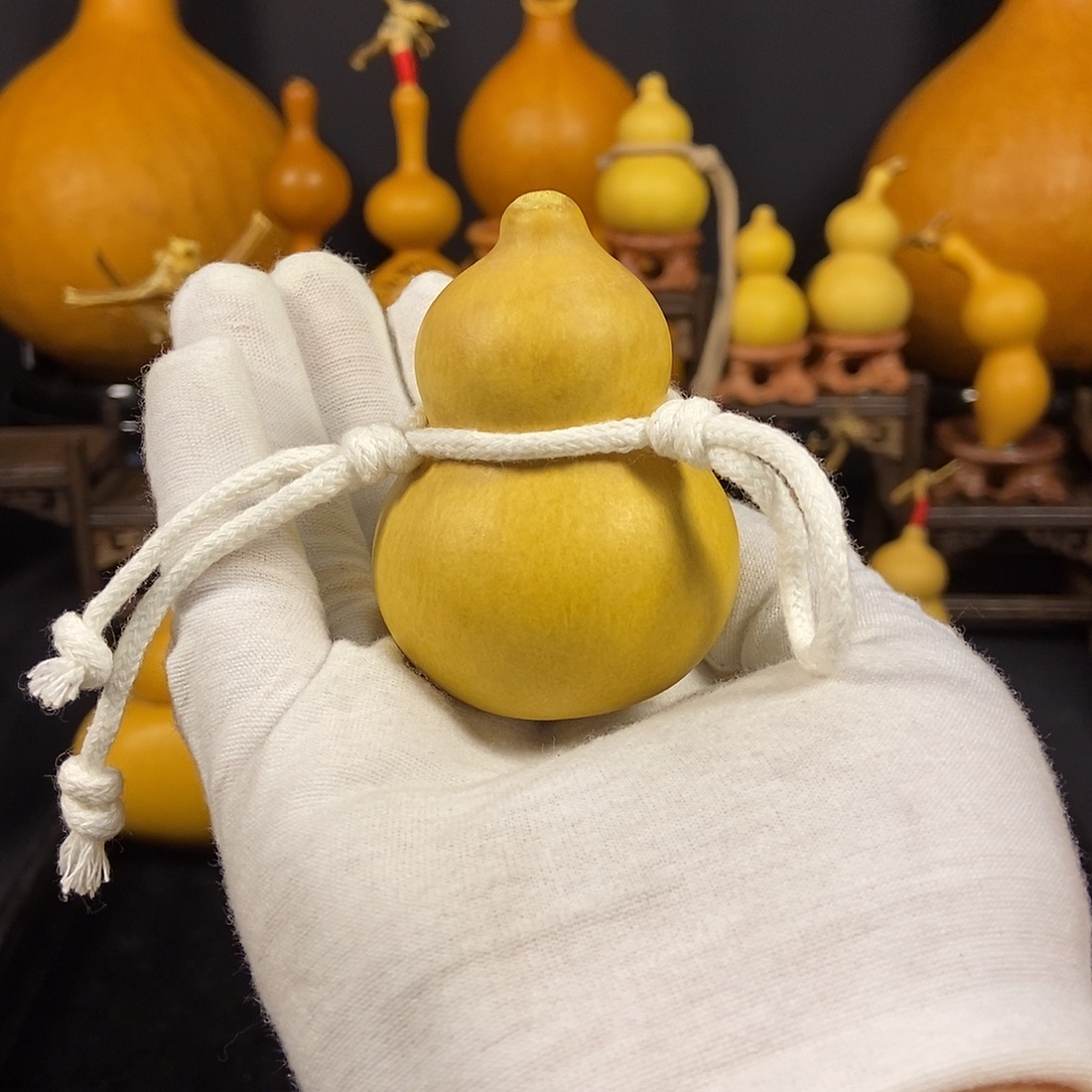 尺寸7.88，直立稳坐，仅此一漏