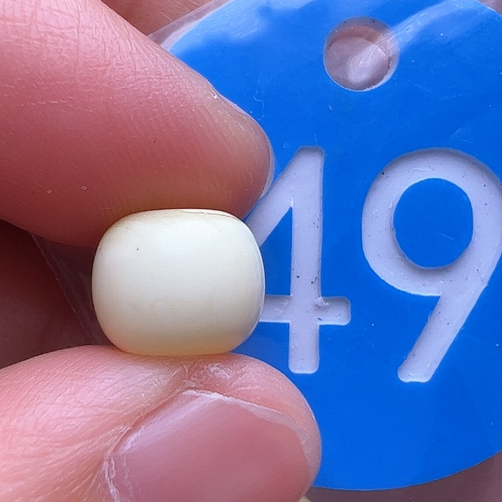 蜜蜡裸石未镶嵌花粉9.8m m
