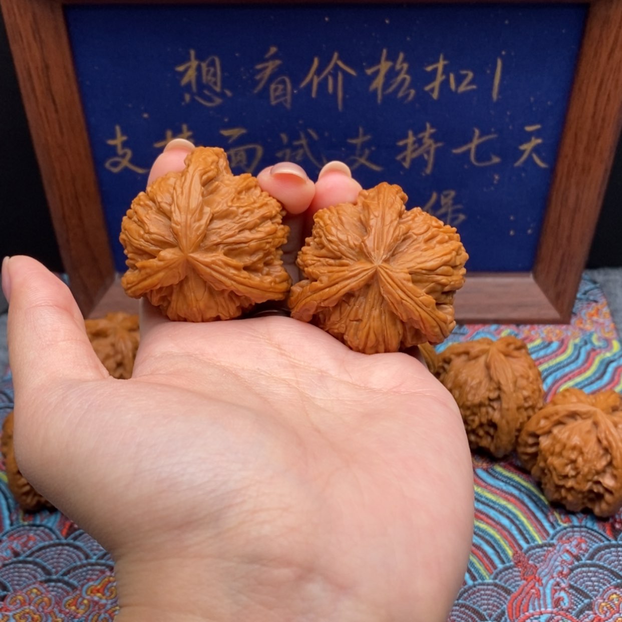 【闪购商品】秦***哥白狮