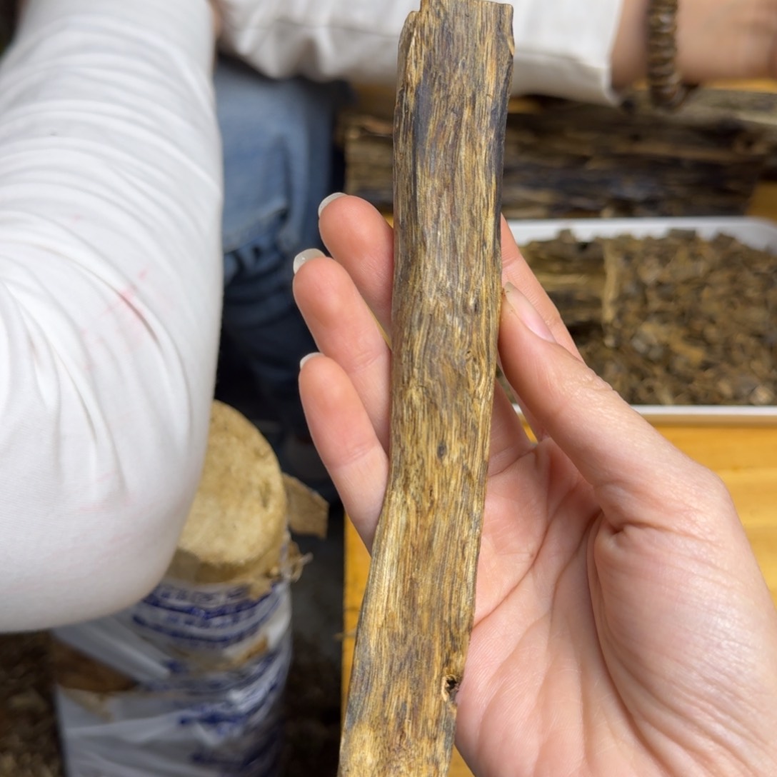 沉香沉香碎屑白棋品种块料22克