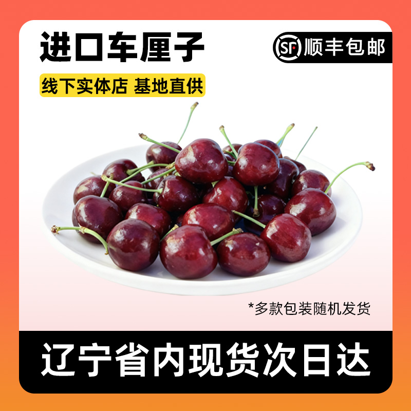 智利桑提娜车厘子空运JJD级净重1kg内附果径卡车厘子车厘子桑提娜樱桃智利共和国