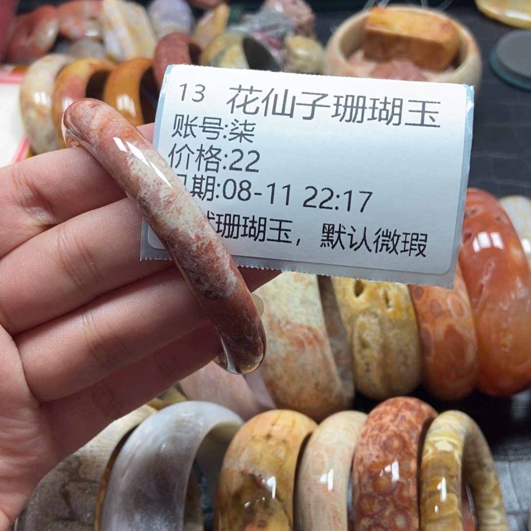 柒***硅化珊瑚（珊瑚玉）未镶嵌珠宝半成品13