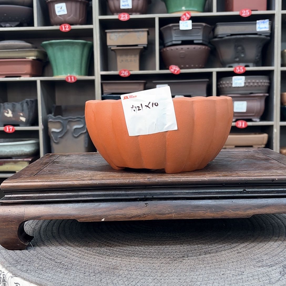 紫砂花盆紫砂的花是最美