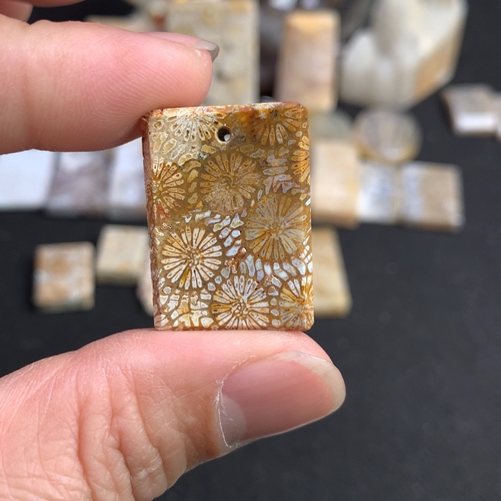 【闪购商品】硅化珊瑚（珊瑚玉）颈饰未镶嵌