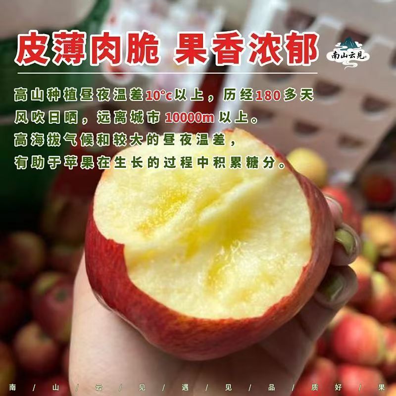 云南昭通丑苹果脆甜冰糖心新鲜现摘水果