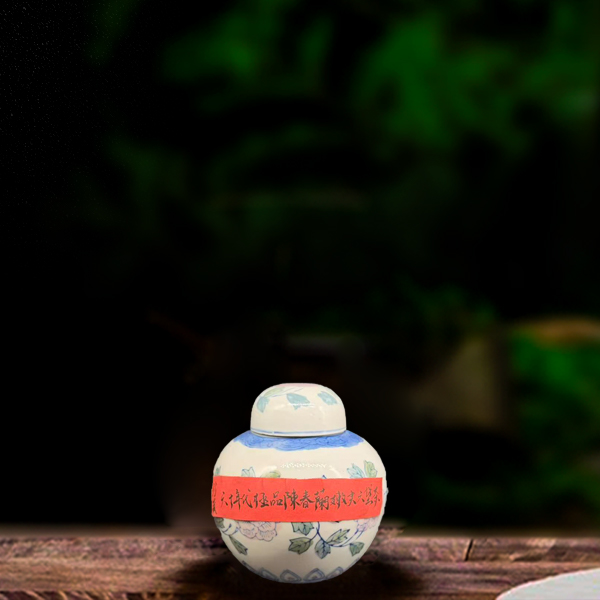 60年代嫩尖六堡茶160g(X2)