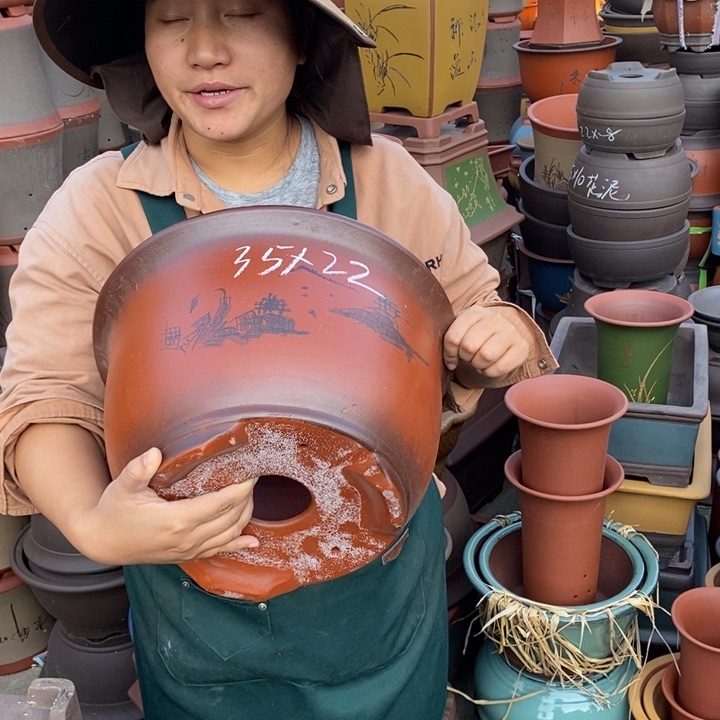 紫砂花盆盆栽花卉苗木种植