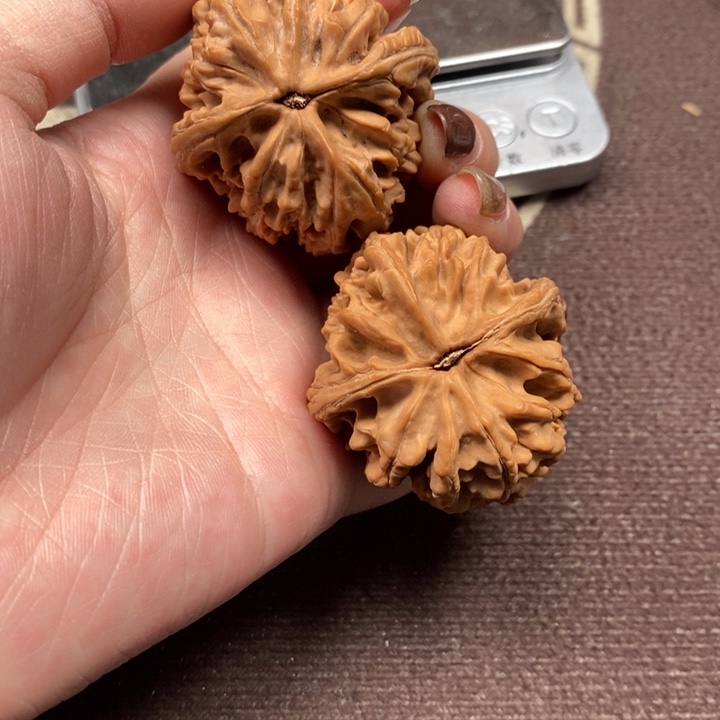 文玩核桃吊坠大沽石全品