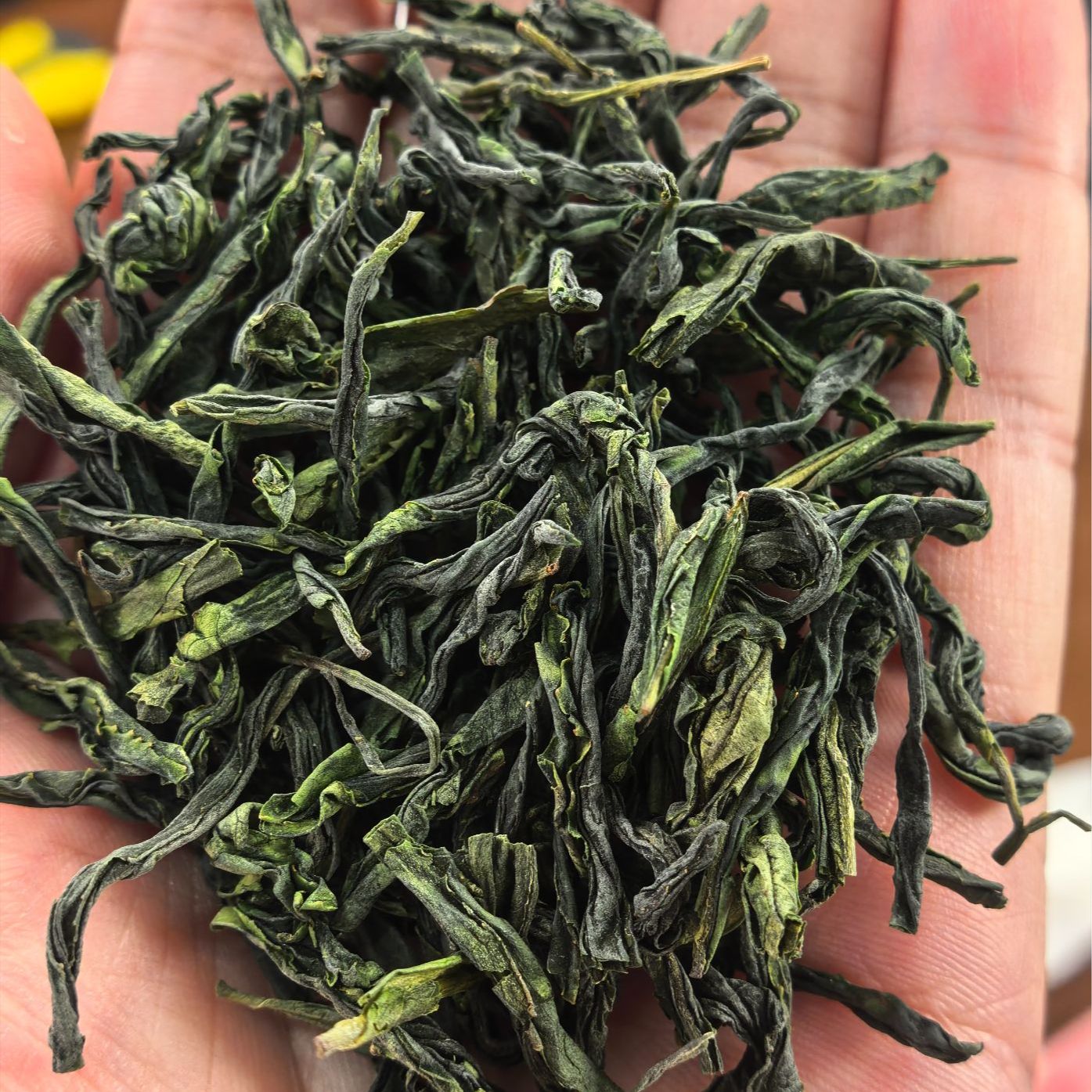 『口粮瓜片』2025六安手工瓜片新茶春茶浓香耐泡