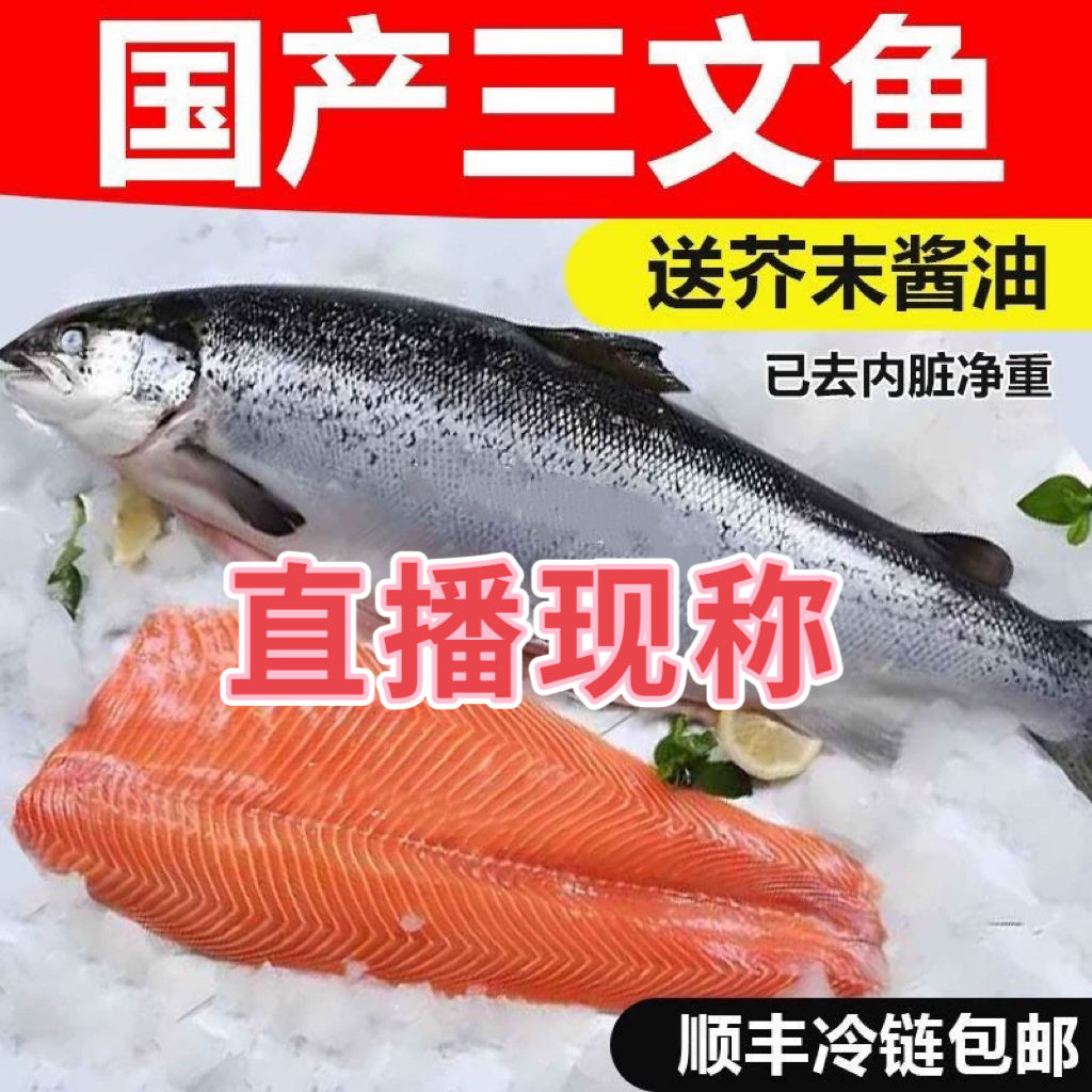 国产海水冰鲜三文鱼现称