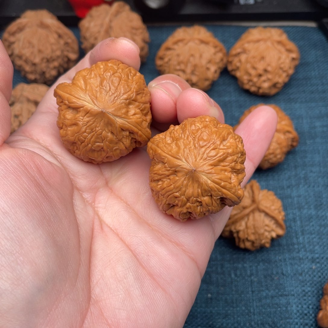 文玩核桃把件全品铁锤妹妹38