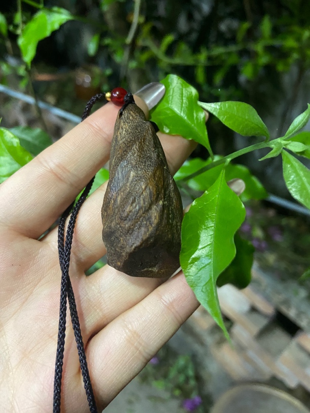 【土特产菇F】随行净含量10g-30g