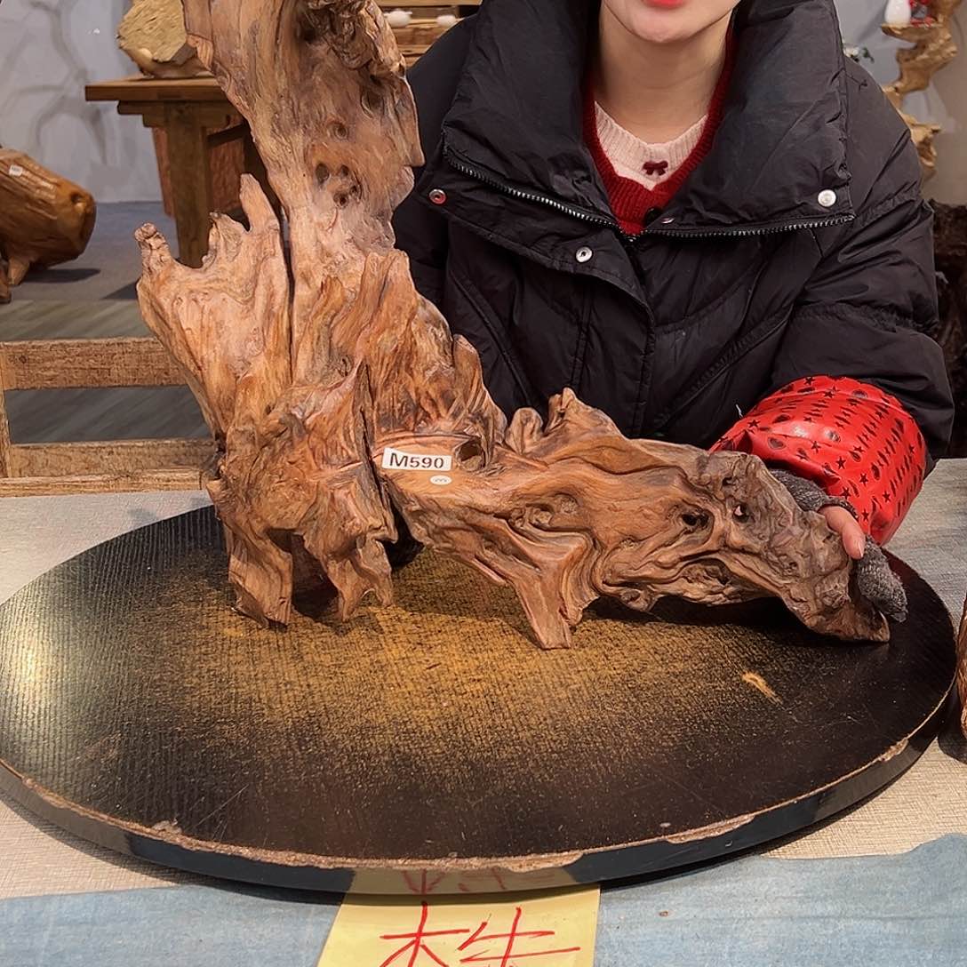 木旭590 hbhhuhhghhhhhh