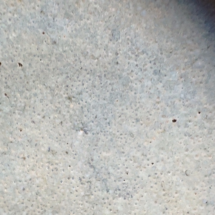 如***1瓷片琉璃花等多种观赏树的