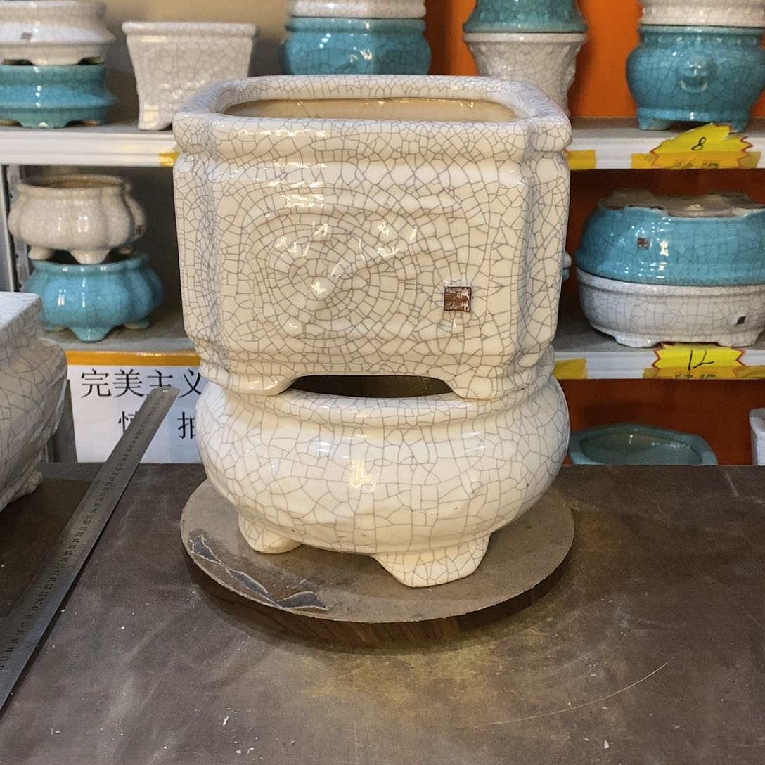 泰*花盆里的小猫咪