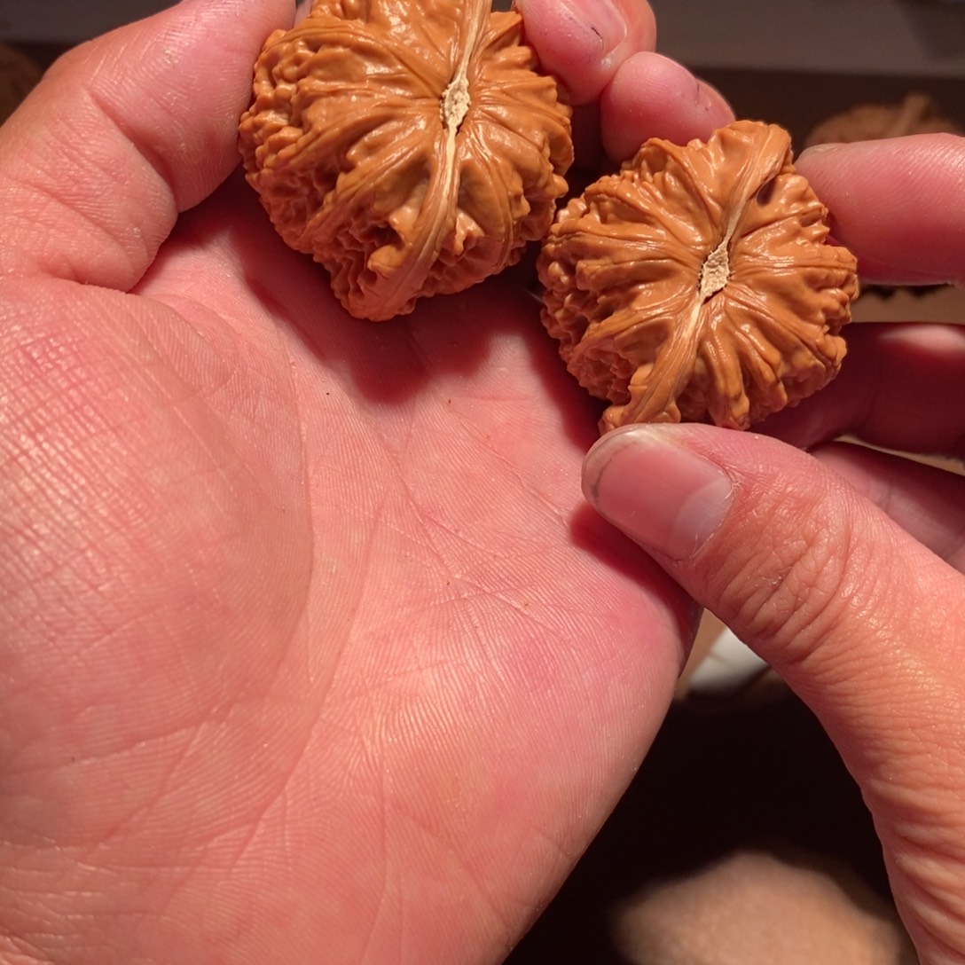 核桃手串/手链42白狮子