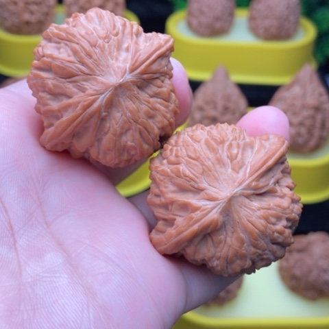 磨盘41全品111111