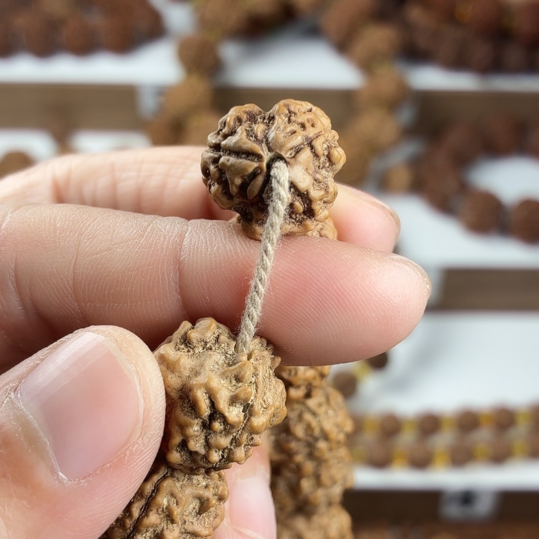 金刚菩提手串原生态精品稀有3瓣