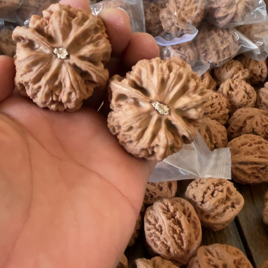 ƪ***雅文玩核桃吊坠45粗筋