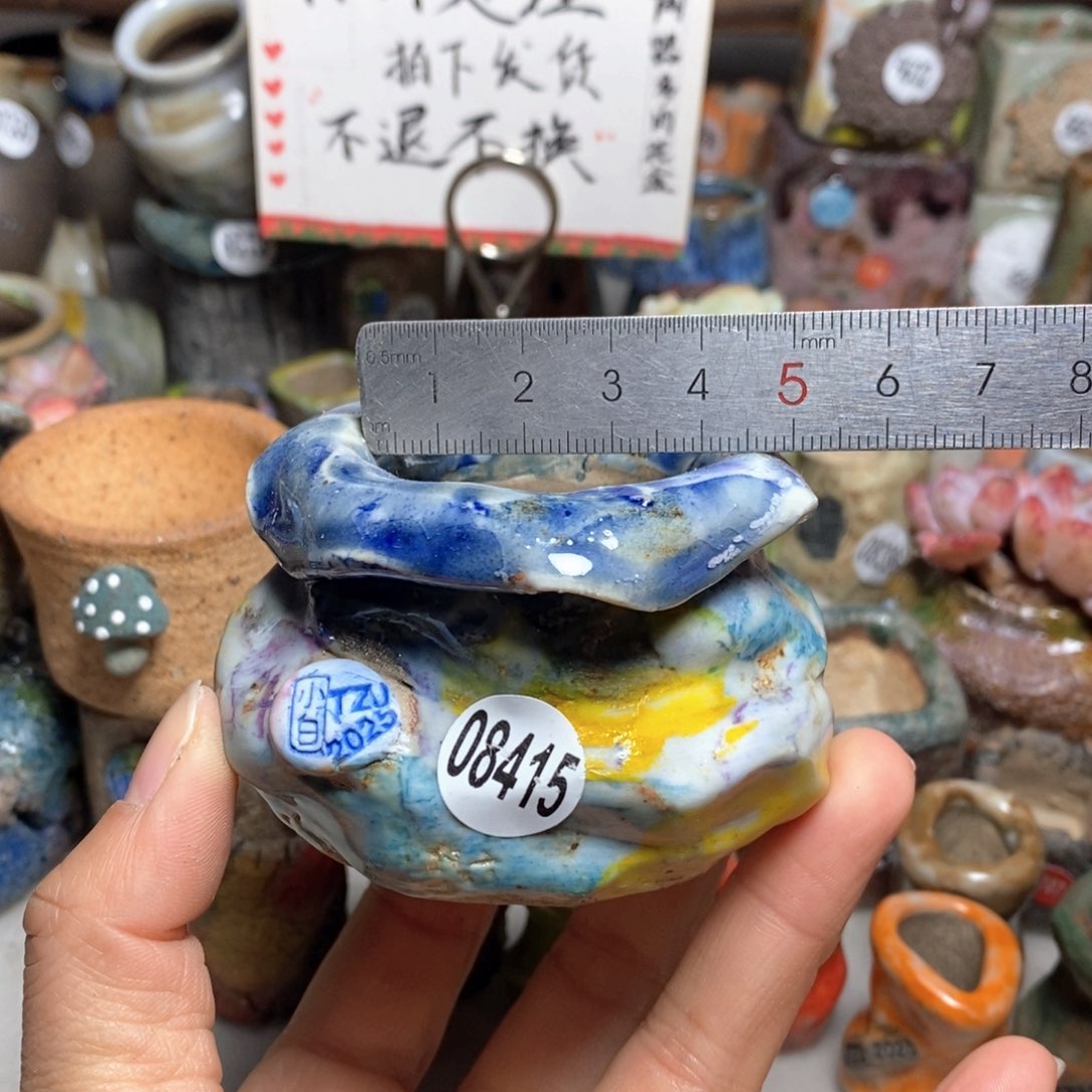 花盆拍1送一个小礼物