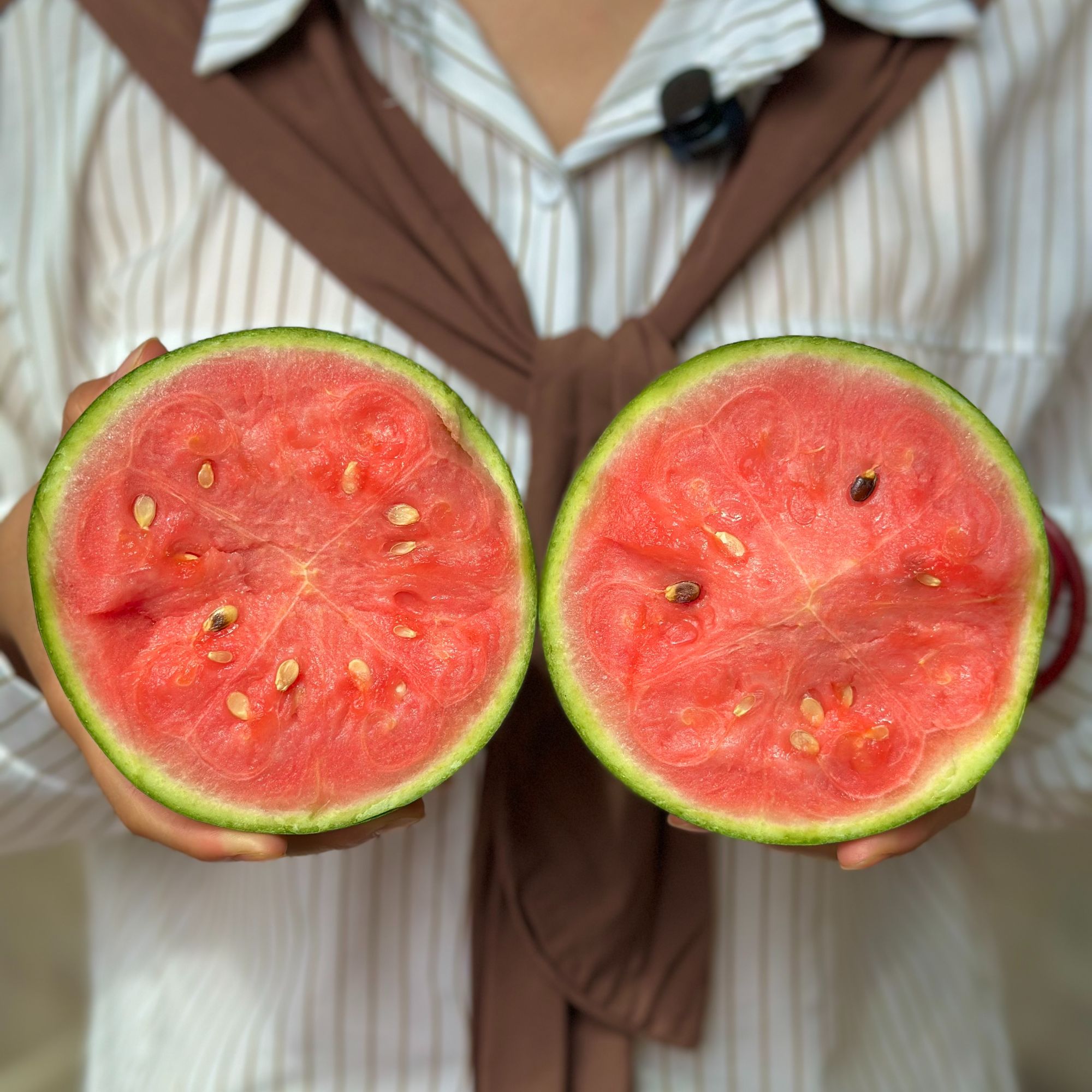 牛奶西瓜头茬现摘现发农家自种，脆甜好吃、汁水足、顺丰包邮1.5斤起北京市