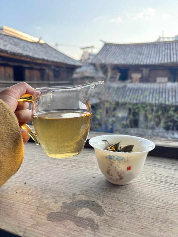 龙潭寨2024年春古树龙珠（到手12颗）